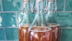 kombucha in flaschen Kombucha – gesundes Trendgetränk aus Asien
