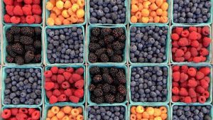 beeren beeren