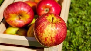 apfel apfel