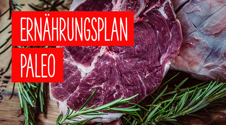 Paleo-Ernaehrungsplan-Rezepte
