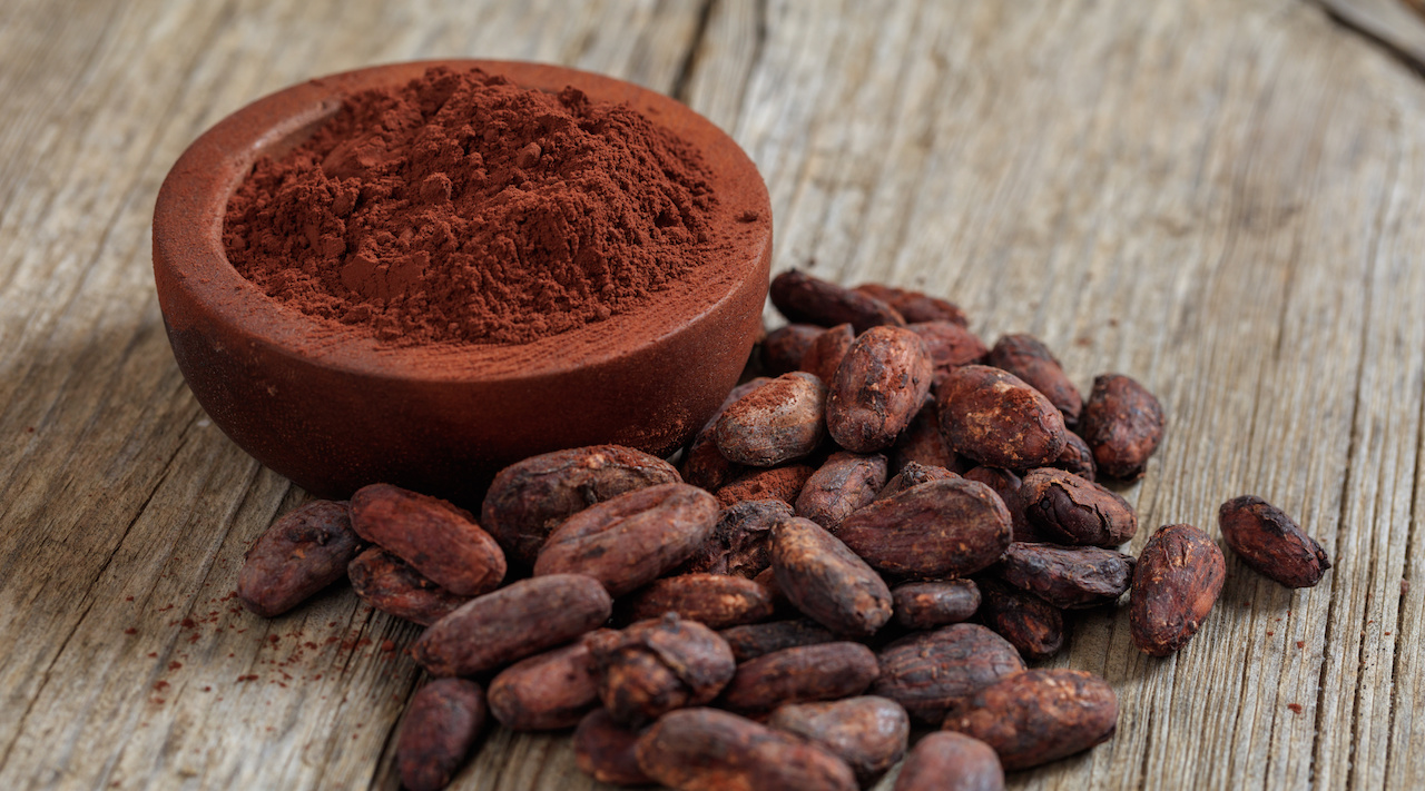 Rohes Kakaopulver und Bohnen