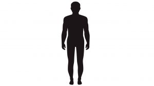 Die 3 Korpertypen Ektomorph Mesomorph Endomorph Koch Mit