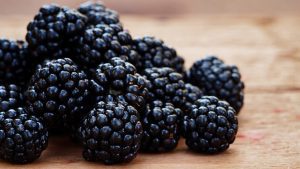 Brombeeren