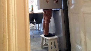 Eine Privileg Kühlgefrierkombination für die ganze Familie