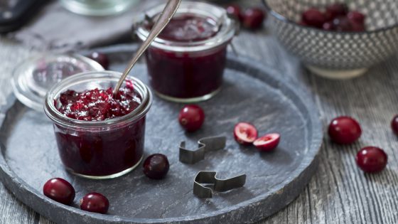 Eingekochte Carnberries im Weckglas, garniert mit frischen Cranberries in einer schwarzweißen Schüssel, auf grauem Untergrund mit grauem Tuch und Löffelchen, Ergolding, Bayern, Deutschland