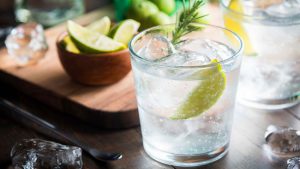 Gin Tonic im Glas mit Zutaten