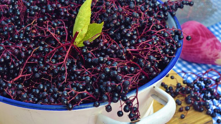 Rezepte für Kaltschale - klassisch mit Obst • Koch-Mit