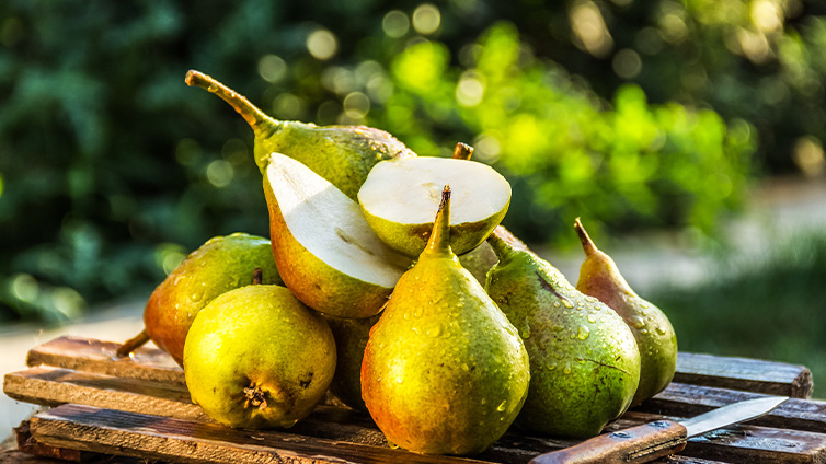 Saisonkalender September: Frische Birnen vom Baum