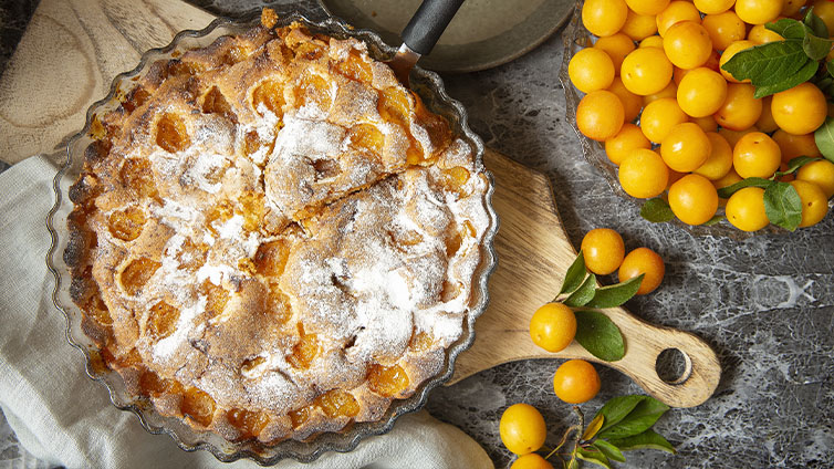 Mirabellenkuchen mit frischen Mirabellen auf dem Tisch