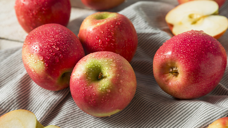 Apfelsaft selber machen: die Süße der Pink Ladys ist unwiederstehlich