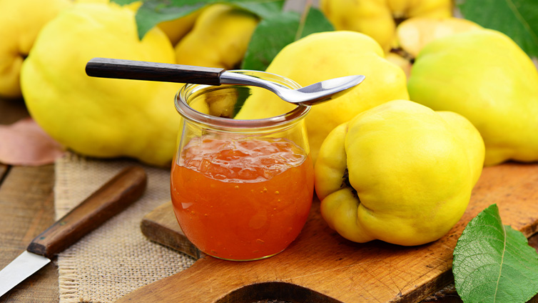 Saisonkalender Oktober: Quitten sind perfekt für Marmelade