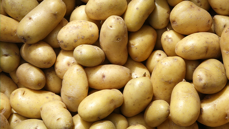 Kartoffeln für Kartoffelsuppen