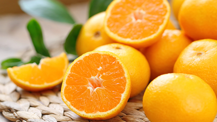 Orangenbrot wird mit frischen Orangen einfach nur lecker