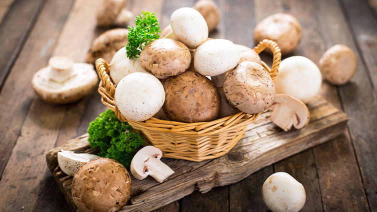 Saisonkalender Januar: champignons im Korb