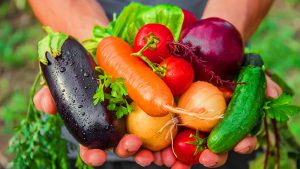 Gesunde Vorräte: Gemüse in Händen