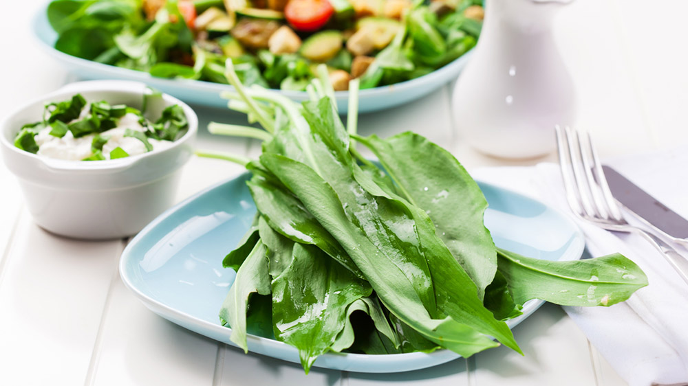 Bärlauchpesto-Joghurt-Dip