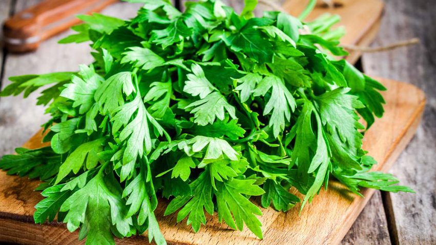 Würziges Petersilien-Pesto mit Walnüssen • Koch-Mit