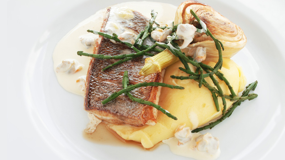 Dorade mit Polenta