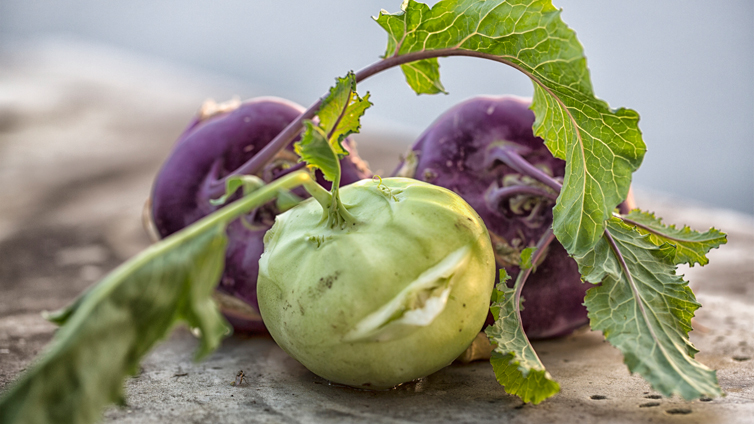 Kohlrabi grün und lila