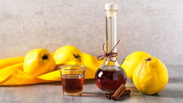 Quittenlikör selber machen - Einfaches Rezept • Koch-Mit